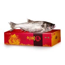 查干湖冬鱼新款 查干湖冬鱼21年新款 京东