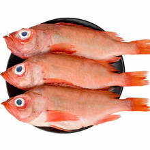 新鲜红鱼价格报价行情 京东