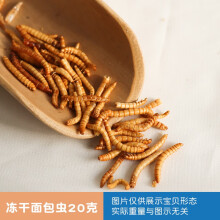 小松鼠价格价格报价行情 京东 小松鼠价格价格报价行情 京东