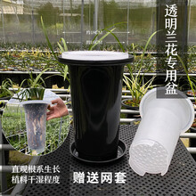 塑料透明花盆新款 塑料透明花盆21年新款 京东 塑料透明花盆新款 塑料透明花盆21年新款 京东