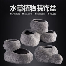 鱼缸水草固定新款 鱼缸水草固定21年新款 京东 鱼缸水草固定新款 鱼缸水草固定21年新款 京东