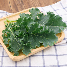 芥蓝价格报价行情 京东