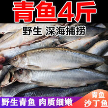 日式渍青鱼刺身价格报价行情 京东