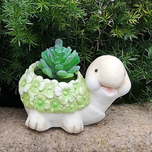 肉肉花盆布置新款 肉肉花盆布置21年新款 京东