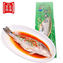 大白鱼价格报价行情 京东