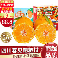 四川春见柑橘上市时间是几月份(四川春见柑橘最新价格)