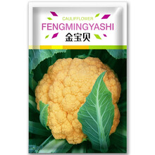 京东花椰菜种子 京东