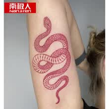 纹身蛇价格报价行情 京东