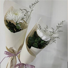 白菊鲜花价格报价行情 京东