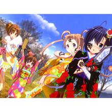 丹生谷森夏价格报价行情 京东