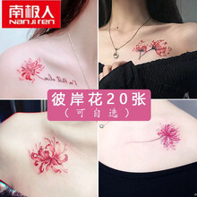 彼岸花纹身价格报价行情 京东