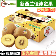 婴儿奇异果图片 京东