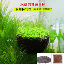 水草饲育造景盆图片 京东