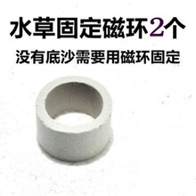 鱼缸水草固定图片 京东 鱼缸水草固定图片 京东