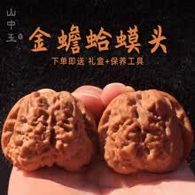 麻核桃品种 京东