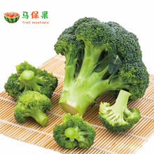 白菜花品牌及商品 京东