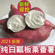 栗子香红薯价格报价行情 京东