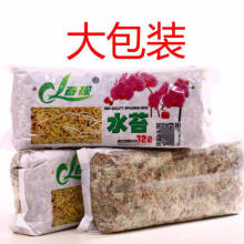 水苔养兰花品牌及商品 京东 水苔养兰花品牌及商品 京东