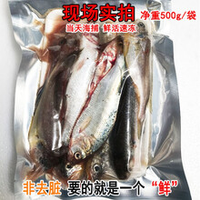 马鲛鱼秋刀鱼价格报价行情 京东