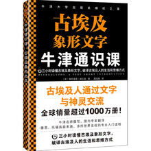 象形文字价格报价行情 京东