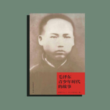 伟人少年价格报价行情 京东