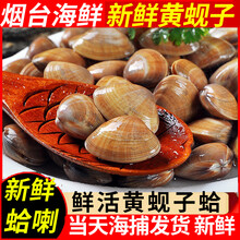 冷冻蚬子价格报价行情 京东