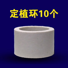 固定水草新款 固定水草21年新款 京东