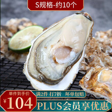 飞鱼穿梭生蚝刺身价格报价行情 京东 飞鱼穿梭生蚝刺身价格报价行情 京东