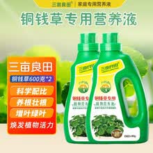 观叶植物肥料新款 观叶植物肥料21年新款 京东