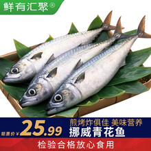 青花鱼营养品牌及商品 京东