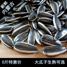 炒葵花子新款 炒葵花子21年新款 京东