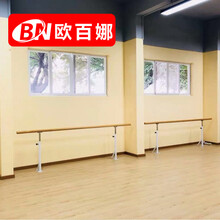 舞蹈把杆落地式价格报价行情 京东