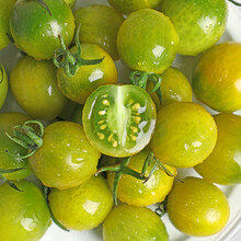 寻味君 绿宝石圣女果 小番茄西红柿青蜜绿色番茄 新鲜水果 5斤