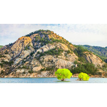 崂山巨峰旅游价格报价行情 京东 崂山巨峰旅游价格报价行情 京东