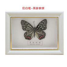 蝴蝶标本书签价格报价行情 京东