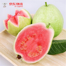 红心胭脂水果价格报价行情 京东