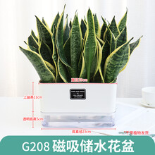 长方型花盆新款 长方型花盆21年新款 京东