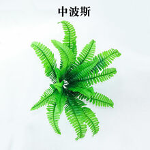 植物草图片 京东 植物草图片 京东
