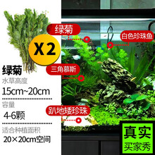 生态鱼缸真水草价格报价行情 京东