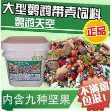 红葵花鹦鹉价格报价行情 京东