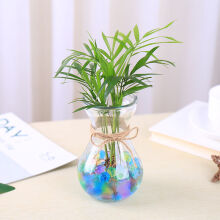 植物水培花瓶新款 植物水培花瓶21年新款 京东