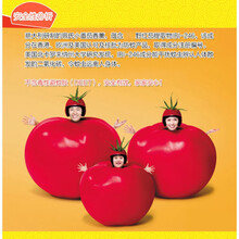 佩氏驱蚊爽喷雾价格报价行情 京东