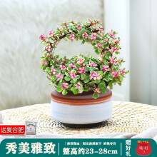 多肉植物造型品牌及商品 京东