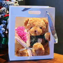 毕业熊花束新款 毕业熊花束21年新款 京东