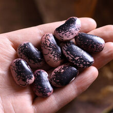 大花黑芸豆新款 大花黑芸豆21年新款 京东 大花黑芸豆新款 大花黑芸豆21年新款 京东