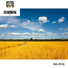 农村楼梯价格报价行情- 京东