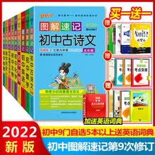 初中数学方程式型号规格 京东