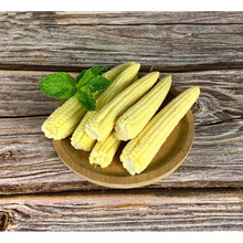 玉米笋2斤 新鲜蔬菜 本地迷你小甜玉米芯 番麦笋