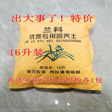 植木美江价格报价行情 京东