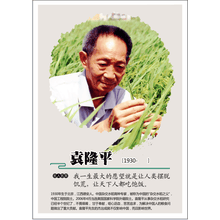 名人名言挂画新款 名人名言挂画21年新款 京东